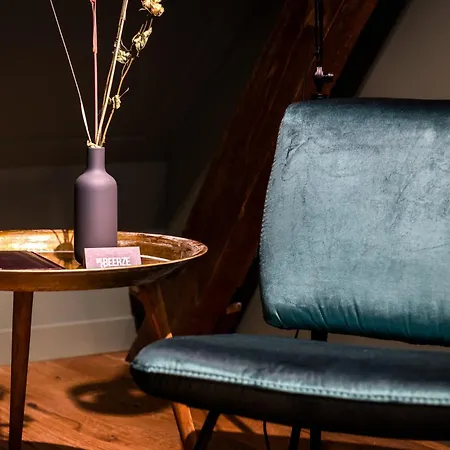 酒店 Boutique De Beerze Middelbeers